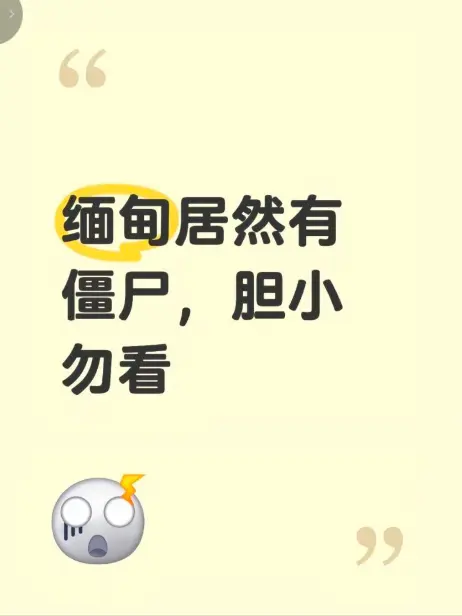 《缅甸僵尸出土事件》高清完整版在线观看 - 揭秘缅北僵尸出土事件真相 - 缅甸僵尸出土事件视频无删减免费播放