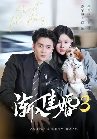 《渐入佳婚3》全季无广告在线观看-短剧《渐入佳婚3》全集免费高清播放-1080P画质无删减版-手机电脑同步追剧