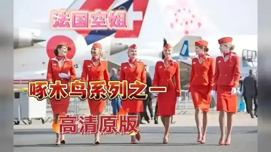 《法国空姐2019/不雅空乘》1080P高清无广告在线看-完整未裁剪版国语中字-《法国空姐2019/不雅空乘》免费观看全集-法国航空空姐职场尊严与情感