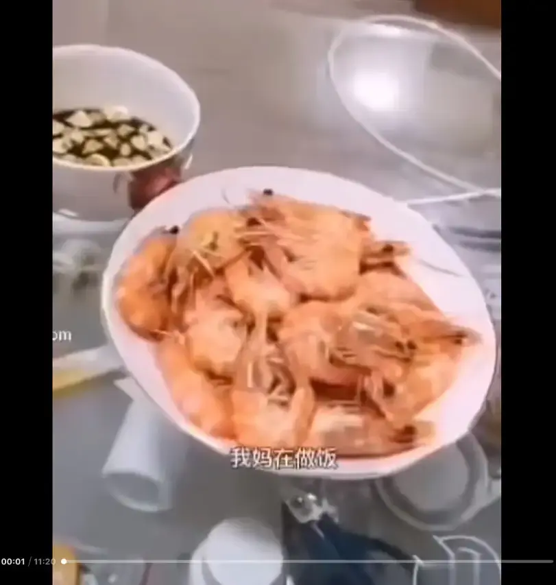 《大虾母子厨房完整版》猎奇视频揭秘 - 完整版高清在线观看 - 网盘资源免费下载 - 带你一看就明白