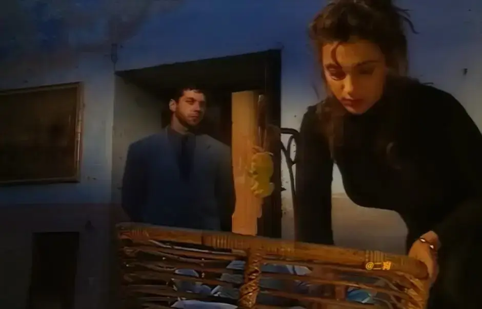 Sceneggiata Napoletana（1994）高清未删减版 - 赛仑selen渔夫的妻子全集播放 - 啄木鸟系列蓝光1080P画质免费看