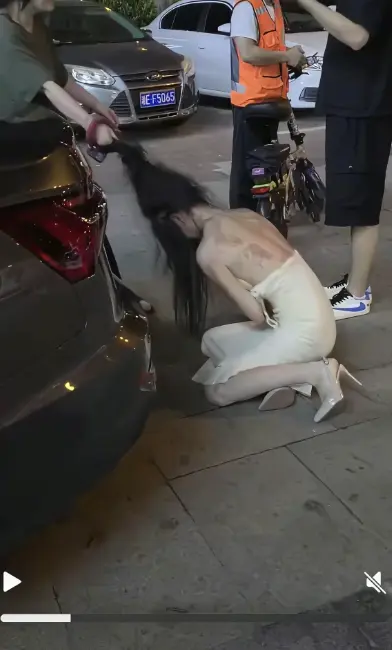 《白裙女子被抓头发跳河》事件后续-白裙女子被揪头发跳河完整版在线播放-湘E车牌白裙女子拉头发坠河高清视频包含了分析结果和标题输出