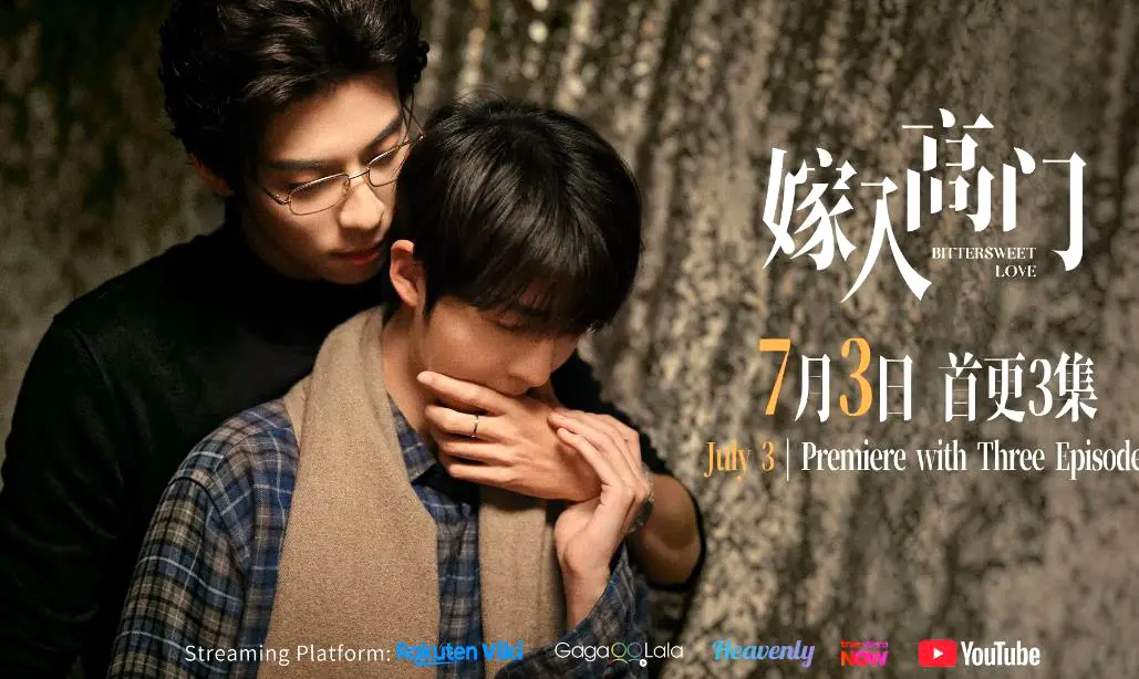 《嫁入高门的男人》22集全集高清免费在线观看-双男主爱情剧《嫁入高门》无删减完整版-2026新剧无广告HD播放