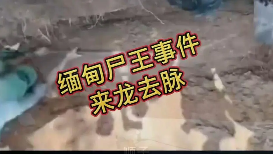在线观看《缅甸僵尸出土事件视频》完整版资源下载 - 缅北僵尸出土事件始末原视频高清下载 - 《缅甸僵尸出土事件视频》超清未删减全程录像免费播放